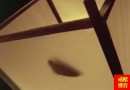 赌徒就像黑夜里的飞蛾，看到火光就往里扑！