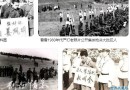 “严打”不是万能的 无助于社会治安的根本好转