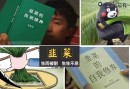 割韭菜的力量实在很强大 中国股民是真不容易