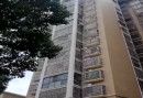 是什么让他有勇气自杀，而不敢面对生活