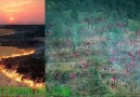买房和赌钱也要明白“星星之火，可以燎原”