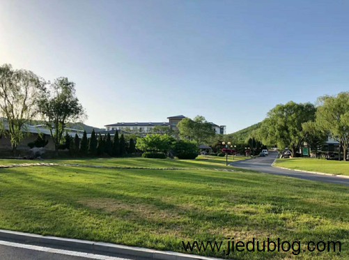 戒赌博客 1559057566(1).jpg