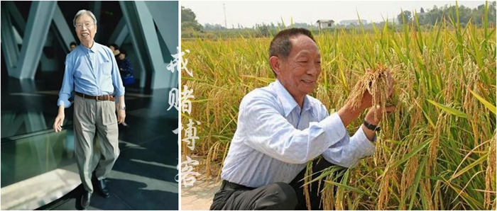 科学家长寿秘诀 心态和自律才是关键因素