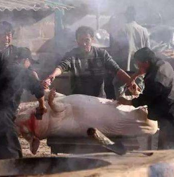 被坑的赌徒就像被杀的猪 只是杀猪方式换了